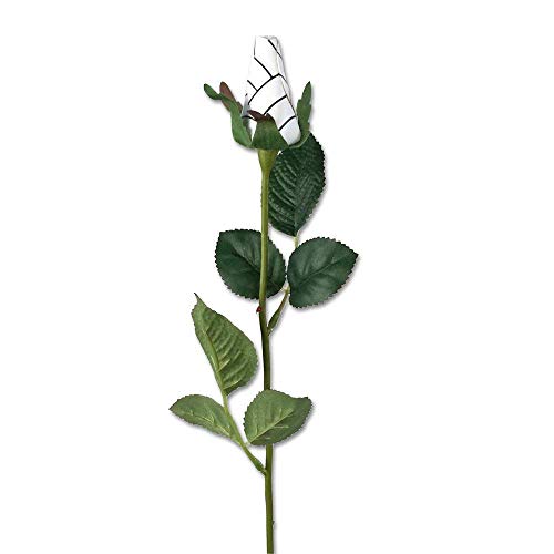 Product: Volleyball Rose (Pack of 6) - Handmade, Original Design by Sports Roses
