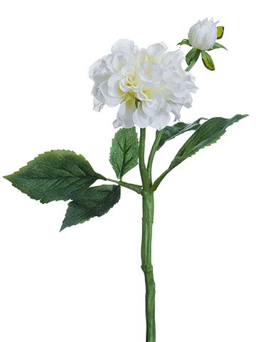 Arcadia Silk Plantation 13" Dahlia Spray White (Pack of 24) - Artificial Flower Arrangements Product: Arcadia Silk Plantation 13" Dahlia Spray White (Pack of 24)