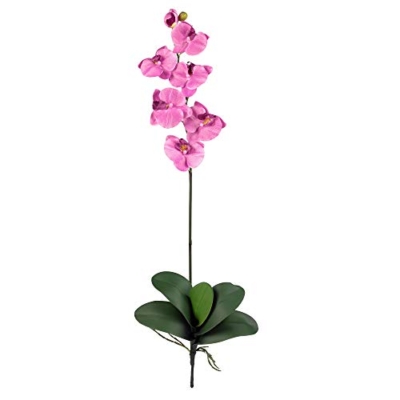 Product: Nearly Natural Phalaenopsis Silk Orchid Flower w/Leaves (6 Stems)