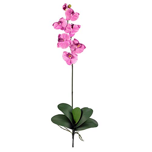 Nearly Natural Phalaenopsis Silk Orchid Flower w/Leaves (6 Stems) - Artificial Flower Arrangements Product: Nearly Natural Phalaenopsis Silk Orchid Flower w/Leaves (6 Stems)