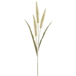 Product: SilksAreForever 36" Artificial Foxtail Flower Stem -Beige (Pack of 12)