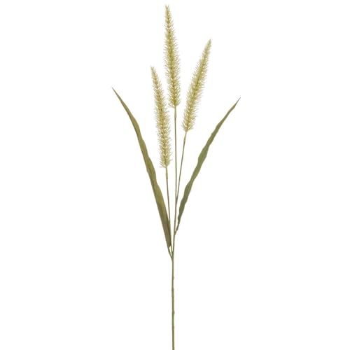 SilksAreForever 36" Artificial Foxtail Flower Stem -Beige (Pack of 12) - Artificial Flower Arrangements Product: SilksAreForever 36" Artificial Foxtail Flower Stem -Beige (Pack of 12)