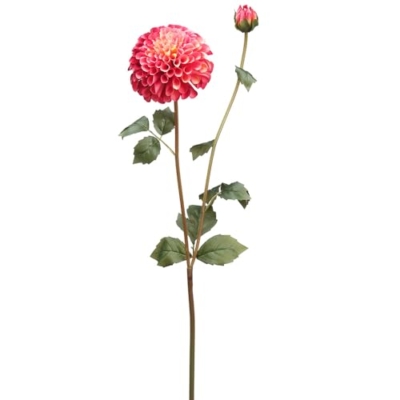 Product: 31" Silk Dahlia Flower Stem -2 Tone Rose (Pack of 12)