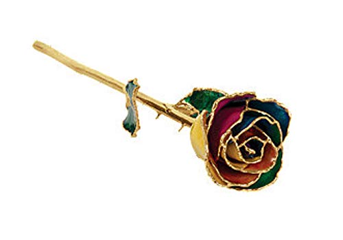 Silky Flower Store Preserved Real Rose 24K Gold Trim Gift Box, Long Stem Rainbow Rose Decorative Keepsake, 11-12in 7 7 Product: Long Stem Dipped 24K Gold Trim Rainbow Genuine Rose in Gift Box- El tallo Largo sumergió 24K Gold Trim Rainbow Rose genuina en caja de Regalo