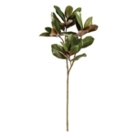 Product: NAPA Home & Garden Magnolia Leaf STEM 42.5"