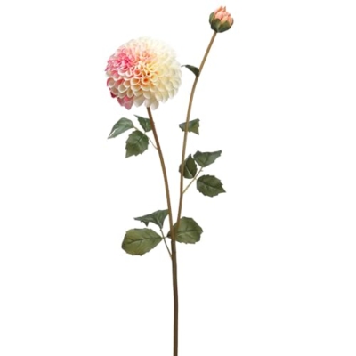 Product: 31" Silk Dahlia Flower Stem -Pink/Cream (Pack of 12)