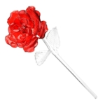 Product: Waterford Fleurology Red Rose