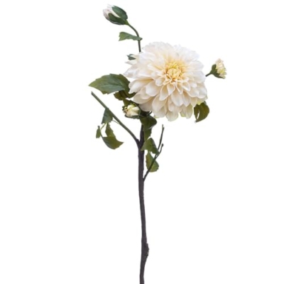 Product: 23.5" Silk Dahlia Flower Stem -Cream (Pack of 12)