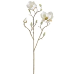 Product: SilksAreForever 21" Silk Japanese Magnolia Flower Stem -Cream (Pack of 12)