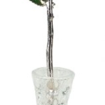 Product: Living Gold Real Rose Dipped in Platinum w/Vase (Yellow)
