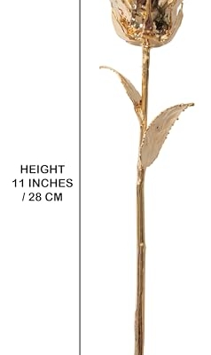 Silky Flower Store 24K Gold Dipped Long Stem Preserved Rose Gift for Wife, Mother, Best Friend, Elegant Display 32.5cm 11 11 Product: VonDelve 24K Gold Dipped Long Stem Real Rose, Natural Handpicked Genuine Flower Preserved as an Everlasting Keepsake for Wife, Mother or Best Friend, Birthday or Anniversary