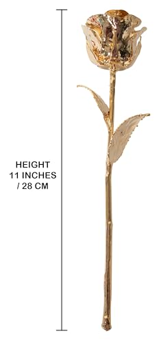 Silky Flower Store 24K Gold Dipped Long Stem Preserved Rose Gift for Wife, Mother, Best Friend, Elegant Display 32.5cm 4 4 Product: VonDelve 24K Gold Dipped Long Stem Real Rose, Natural Handpicked Genuine Flower Preserved as an Everlasting Keepsake for Wife, Mother or Best Friend, Birthday or Anniversary