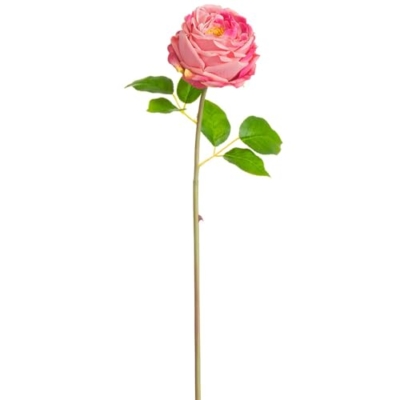 Product: 20" Silk Cabbage Rose Bud Flower Stem -2 Tone Rose (Pack of 12)