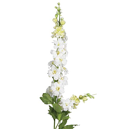 Silky Flower Store Artificial Delphinium Stem Set of 12, Nearly Natural Floral Décor, Long Lasting Faux Flowers, 38.5in. 3 3 Product: Nearly Natural 38.5in. Delphinium Stem (Set of 12)