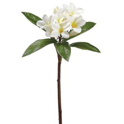 Product: 22" Frangipani Plumeria Silk Flower Stem -Cream/Yellow (Pack of 12)
