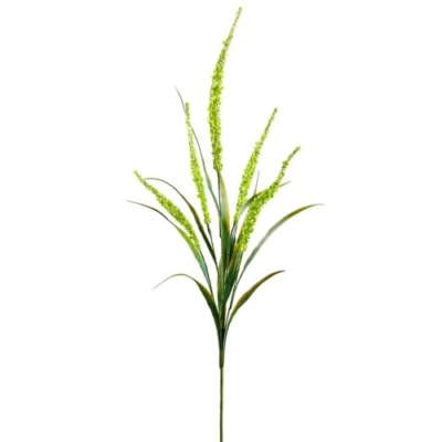 Product: SilksAreForever 25" Artificial Foxtail Flower Stem -Green (Pack of 12)