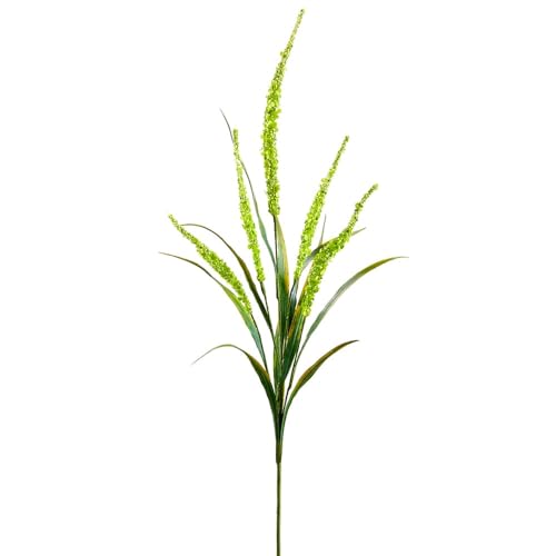 Product: SilksAreForever 25" Artificial Foxtail Flower Stem -Green (Pack of 12)