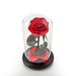 Product: Sharper Image Timeless Rose