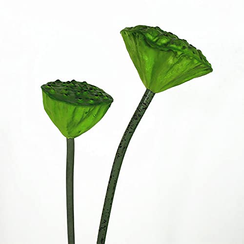 Product: ALXFFBN 8pcs Artificial Lotus Stem Faux Lotus Flower Artificial Bud Flowers for Garden Koi Fish Pond Aquarium Pool Wedding Decor, 2 Lotus Flower + 2 Lotus Bud + 2 Lotus Pods + 2 Lotus Leaves