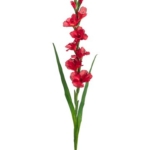 Product: 49.5" Gladiolus Spray Red (Pack of 6)