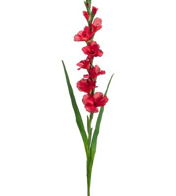 Product: 49.5" Gladiolus Spray Red (Pack of 6)
