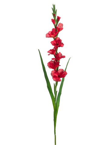 49.5" Gladiolus Spray Red (Pack of 6) - Artificial Flower Arrangements Product: 49.5" Gladiolus Spray Red (Pack of 6)
