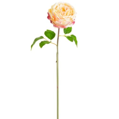 Product: 20" Silk Cabbage Rose Bud Flower Stem -2 Tone Pink (Pack of 12)