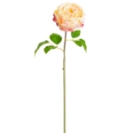 Product: 20" Silk Cabbage Rose Bud Flower Stem -2 Tone Pink (Pack of 12)