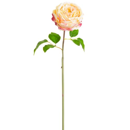 Product: 20" Silk Cabbage Rose Bud Flower Stem -2 Tone Pink (Pack of 12)