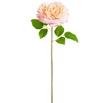 Product: 20" Silk Open Cabbage Rose Flower Stem -2 Tone Pink (Pack of 12)