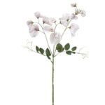 Product: 26.75" Silk Sweet Pea Flower Stem -Cream (Pack of 12)