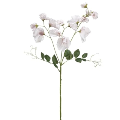 Product: 26.75" Silk Sweet Pea Flower Stem -Cream (Pack of 12)