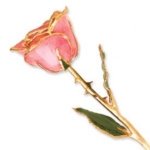 Product: Allmygold Long Stem Dipped 24K Gold Trim Pink Genuine Rose in Gold Gift Box