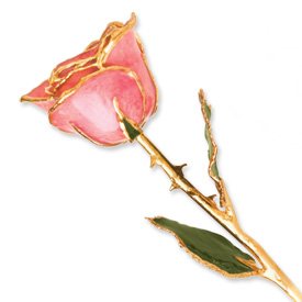 Product: Allmygold Long Stem Dipped 24K Gold Trim Pink Genuine Rose in Gold Gift Box