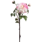 Product: 23.5" Silk Dahlia Flower Stem -Pink/Cream (Pack of 12)