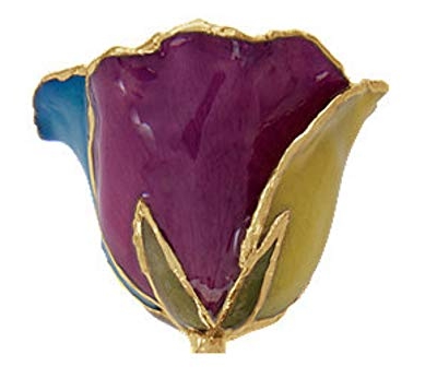 Silky Flower Store Preserved Real Rose 24K Gold Trim Gift Box, Long Stem Rainbow Rose Decorative Keepsake, 11-12in 15 15 Product: Long Stem Dipped 24K Gold Trim Rainbow Genuine Rose in Gift Box- El tallo Largo sumergió 24K Gold Trim Rainbow Rose genuina en caja de Regalo