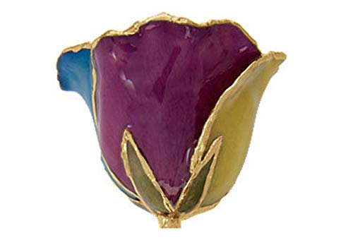 Silky Flower Store Preserved Real Rose 24K Gold Trim Gift Box, Long Stem Rainbow Rose Decorative Keepsake, 11-12in 6 6 Product: Long Stem Dipped 24K Gold Trim Rainbow Genuine Rose in Gift Box- El tallo Largo sumergió 24K Gold Trim Rainbow Rose genuina en caja de Regalo