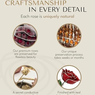 Product: Forever Rose Real Red Rose with Platinum Trimmed Petals and Platinum Stem, Handcrafted Preserved Rose in Luxury Gold Gift Box, Romantic Gift for Her, Elegant Gift for Any Occasion