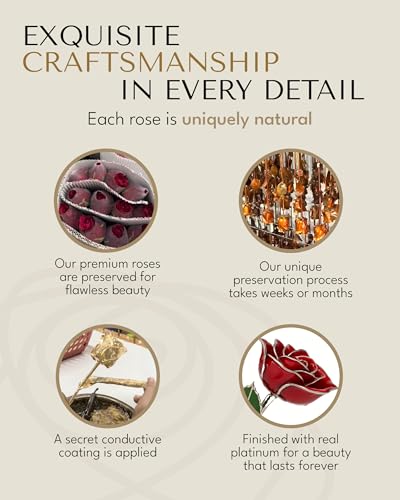 Product: Forever Rose Real Red Rose with Platinum Trimmed Petals and Platinum Stem, Handcrafted Preserved Rose in Luxury Gold Gift Box, Romantic Gift for Her, Elegant Gift for Any Occasion