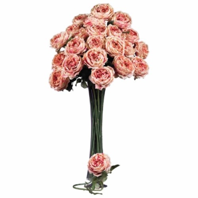 Product: Nearly Natural 2127-PK 31" Large Rose Stem (Set of 12) Pink
