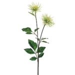 Product: 33" Spider Mum Spray Green (Pack of 12)