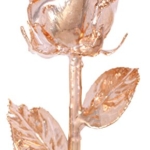 Product: Allmygold 11" 24K Gold Dipped Real Venus Rose (Rose Gold)