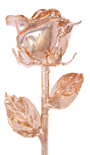 Allmygold 11" 24K Gold Dipped Real Venus Rose (Rose Gold) - Artificial Flower Arrangements Product: Allmygold 11" 24K Gold Dipped Real Venus Rose (Rose Gold)