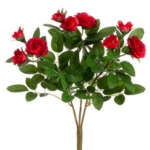 Product: 10" Mini Rose Bush x3 Red (Pack of 36)