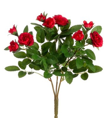 Product: 10" Mini Rose Bush x3 Red (Pack of 36)