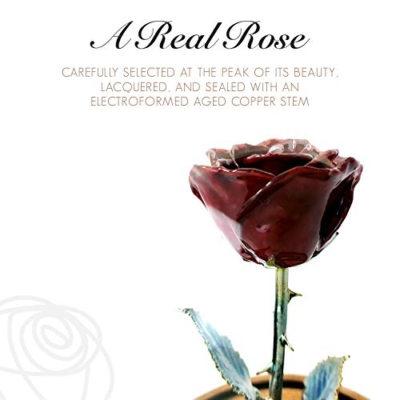 Product: Forever Rose Enchanted Burgundy Preserved Rose | Hand Dipped Rose in Lacquer with A Copper Stem, in A Glass Dome | Inspired by Beauty and The Beast Flower | Romantic Gifts for Women