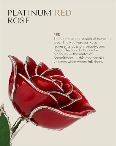 Product: Forever Rose Real Red Rose with Platinum Trimmed Petals and Platinum Stem, Handcrafted Preserved Rose in Luxury Gold Gift Box, Romantic Gift for Her, Elegant Gift for Any Occasion