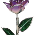 Product: Allmygold 11" 2-Tone Purple Platinum Dipped Real Rose