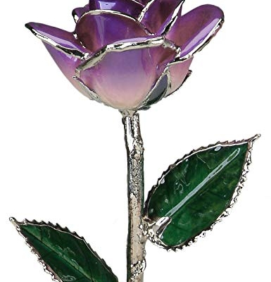 Product: Allmygold 11" 2-Tone Purple Platinum Dipped Real Rose
