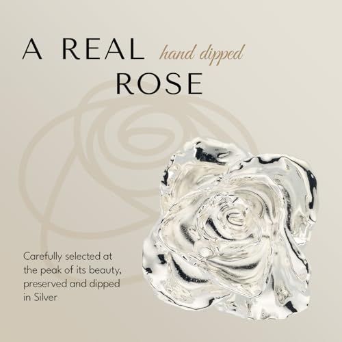 Product: Forever Rose Real Rose Dipped in Silver, Handcrafted Preserved Rose in Luxury Gold Gift Box, Romantic Gift for Her, Elegant Keepsake for Anniversary, Birthday, or Any Special Occasion